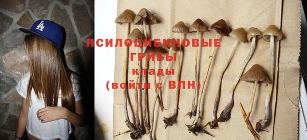 кокаин Алексеевка