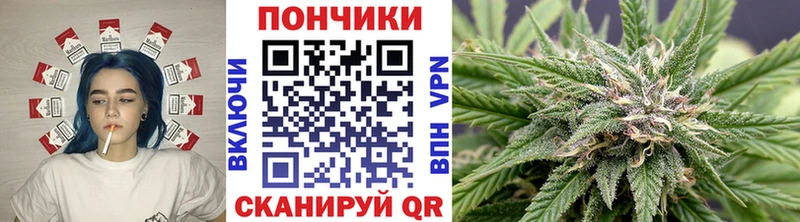 кракен сайт  Островной  мориарти официальный сайт  Каннабис Bruce Banner 